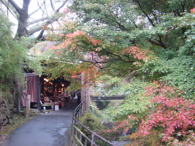 2010.11 日本關西賞楓行~嵐山渡月橋+清水寺+奈良公園 5日遊 - 第84張圖 2010.11 日本關西賞楓行~嵐山渡月橋+清水寺+奈良公園 5日遊