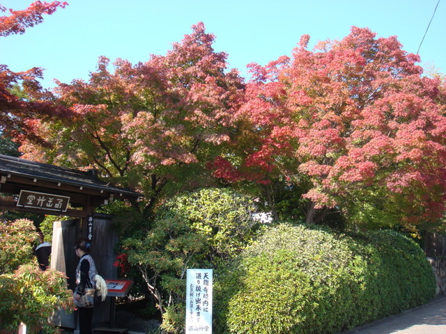 2010.11 日本關西賞楓行~嵐山渡月橋+清水寺+奈良公園 5日遊 - 第48張圖 2010.11 日本關西賞楓行~嵐山渡月橋+清水寺+奈良公園 5日遊