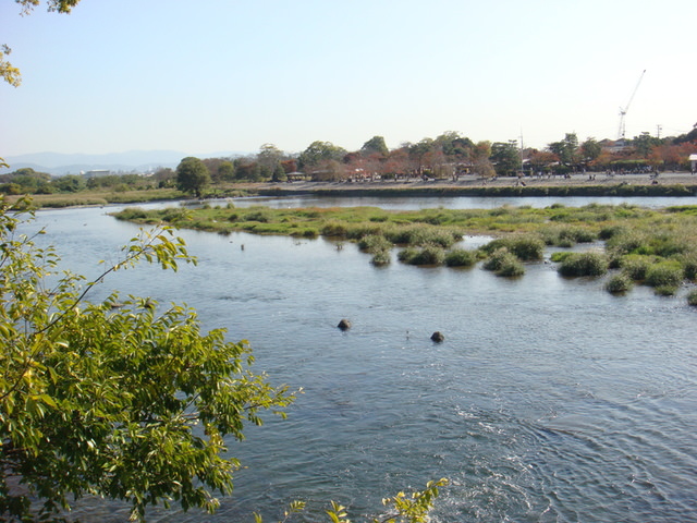 2010.11 日本關西賞楓行~嵐山渡月橋+清水寺+奈良公園 5日遊 - 第50張圖 2010.11 日本關西賞楓行~嵐山渡月橋+清水寺+奈良公園 5日遊