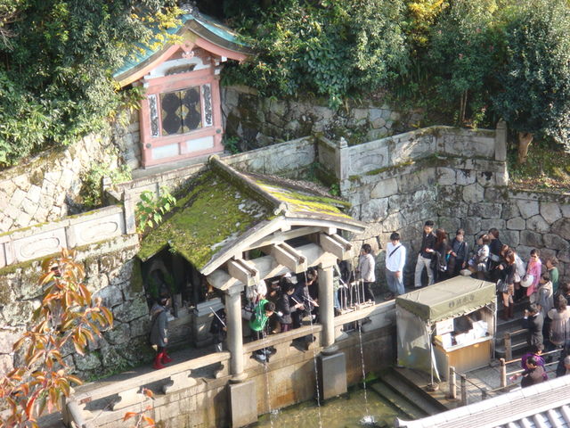 2010.11 日本關西賞楓行~嵐山渡月橋+清水寺+奈良公園 5日遊 - 第115張圖 2010.11 日本關西賞楓行~嵐山渡月橋+清水寺+奈良公園 5日遊