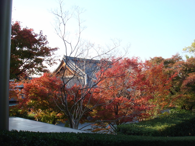 2010.11 日本關西賞楓行~嵐山渡月橋+清水寺+奈良公園 5日遊 - 第59張圖 2010.11 日本關西賞楓行~嵐山渡月橋+清水寺+奈良公園 5日遊