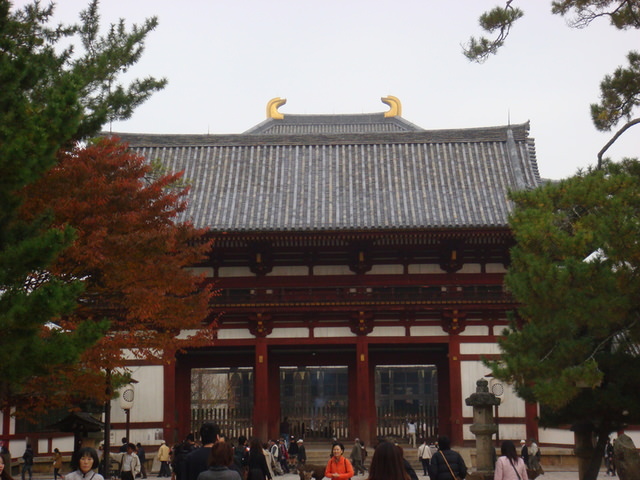 2010.11 日本關西賞楓行~嵐山渡月橋+清水寺+奈良公園 5日遊 - 第153張圖 2010.11 日本關西賞楓行~嵐山渡月橋+清水寺+奈良公園 5日遊