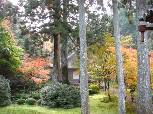 2010.11 日本關西賞楓行~嵐山渡月橋+清水寺+奈良公園 5日遊 - 第90張圖 2010.11 日本關西賞楓行~嵐山渡月橋+清水寺+奈良公園 5日遊