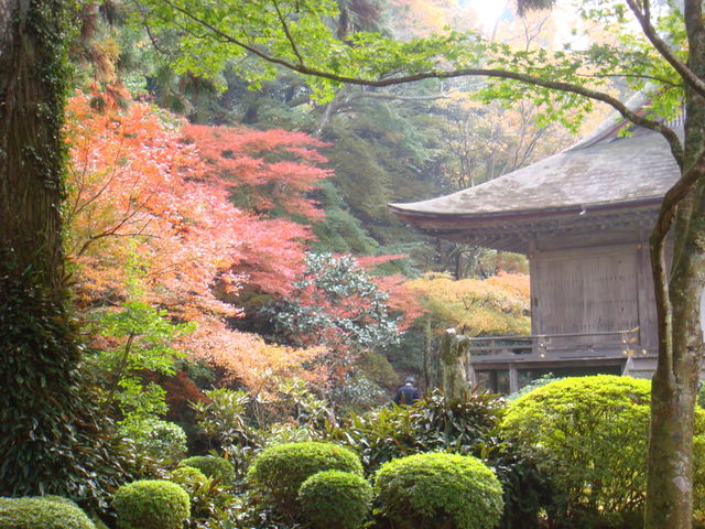 2010.11 日本關西賞楓行~嵐山渡月橋+清水寺+奈良公園 5日遊 - 第92張圖 2010.11 日本關西賞楓行~嵐山渡月橋+清水寺+奈良公園 5日遊