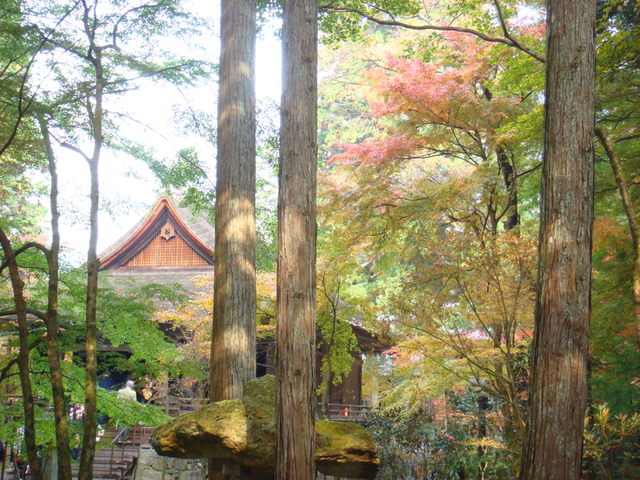 2010.11 日本關西賞楓行~嵐山渡月橋+清水寺+奈良公園 5日遊 - 第98張圖 2010.11 日本關西賞楓行~嵐山渡月橋+清水寺+奈良公園 5日遊