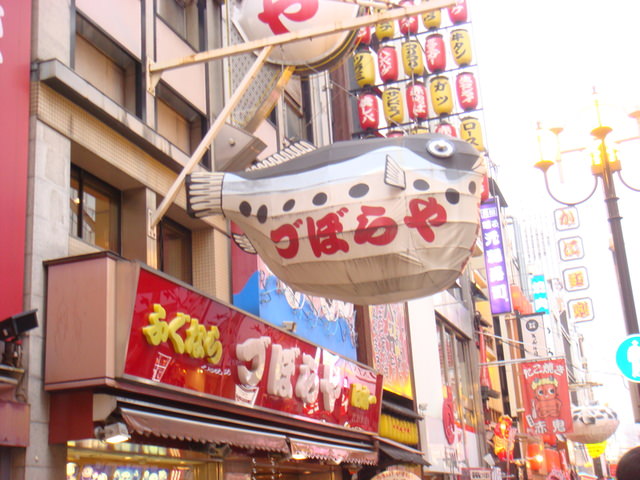 2010.11 日本關西賞楓行~嵐山渡月橋+清水寺+奈良公園 5日遊 - 第170張圖 2010.11 日本關西賞楓行~嵐山渡月橋+清水寺+奈良公園 5日遊