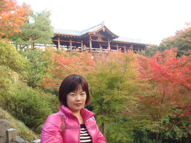 2010.11 日本關西賞楓行~嵐山渡月橋+清水寺+奈良公園 5日遊 - 第139張圖 2010.11 日本關西賞楓行~嵐山渡月橋+清水寺+奈良公園 5日遊