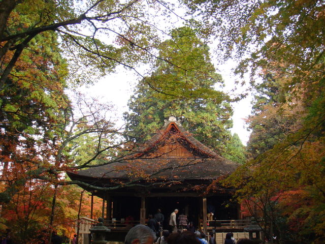 2010.11 日本關西賞楓行~嵐山渡月橋+清水寺+奈良公園 5日遊 - 第97張圖 2010.11 日本關西賞楓行~嵐山渡月橋+清水寺+奈良公園 5日遊