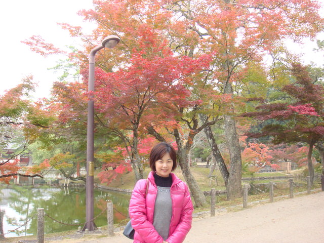 2010.11 日本關西賞楓行~嵐山渡月橋+清水寺+奈良公園 5日遊 - 第159張圖 2010.11 日本關西賞楓行~嵐山渡月橋+清水寺+奈良公園 5日遊