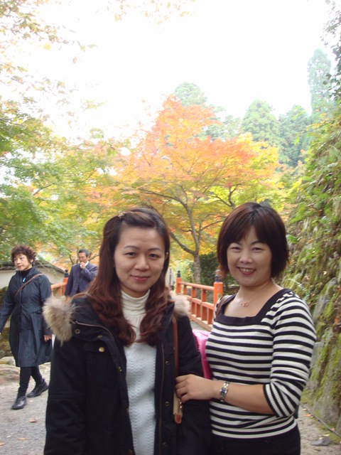 2010.11 日本關西賞楓行~嵐山渡月橋+清水寺+奈良公園 5日遊 - 第104張圖 2010.11 日本關西賞楓行~嵐山渡月橋+清水寺+奈良公園 5日遊