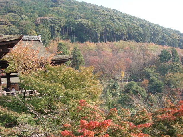 2010.11 日本關西賞楓行~嵐山渡月橋+清水寺+奈良公園 5日遊 - 第112張圖 2010.11 日本關西賞楓行~嵐山渡月橋+清水寺+奈良公園 5日遊