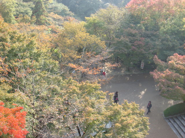 2010.11 日本關西賞楓行~嵐山渡月橋+清水寺+奈良公園 5日遊 - 第113張圖 2010.11 日本關西賞楓行~嵐山渡月橋+清水寺+奈良公園 5日遊