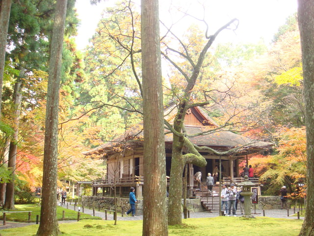 2010.11 日本關西賞楓行~嵐山渡月橋+清水寺+奈良公園 5日遊 - 第102張圖 2010.11 日本關西賞楓行~嵐山渡月橋+清水寺+奈良公園 5日遊