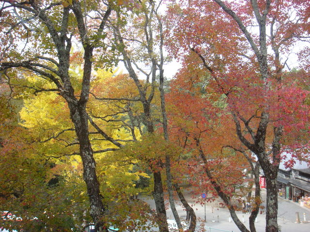 2010.11 日本關西賞楓行~嵐山渡月橋+清水寺+奈良公園 5日遊 - 第161張圖 2010.11 日本關西賞楓行~嵐山渡月橋+清水寺+奈良公園 5日遊