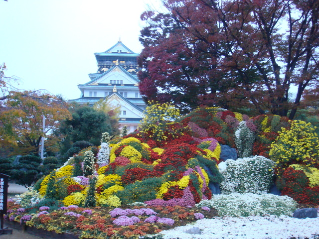 2010.11 日本關西賞楓行~嵐山渡月橋+清水寺+奈良公園 5日遊 - 第174張圖 2010.11 日本關西賞楓行~嵐山渡月橋+清水寺+奈良公園 5日遊