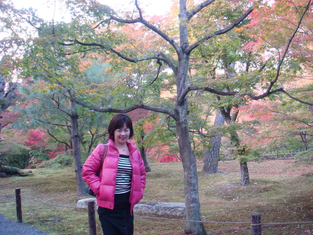 2010.11 日本關西賞楓行~嵐山渡月橋+清水寺+奈良公園 5日遊 - 第133張圖 2010.11 日本關西賞楓行~嵐山渡月橋+清水寺+奈良公園 5日遊