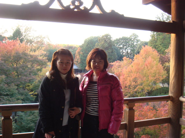2010.11 日本關西賞楓行~嵐山渡月橋+清水寺+奈良公園 5日遊 - 第137張圖 2010.11 日本關西賞楓行~嵐山渡月橋+清水寺+奈良公園 5日遊