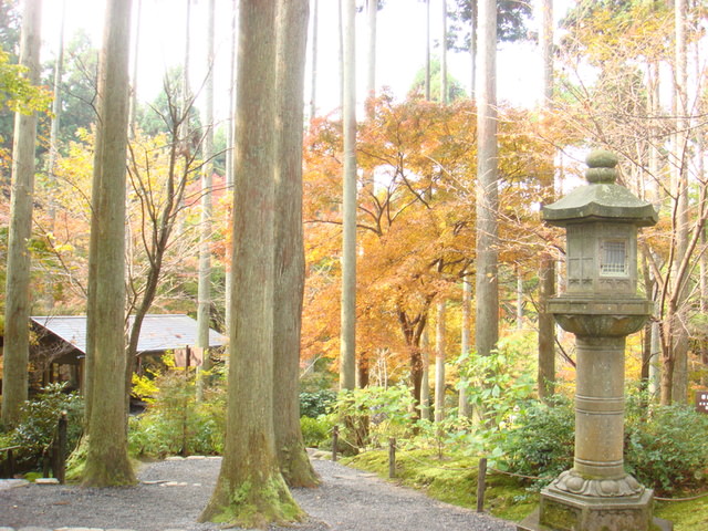 2010.11 日本關西賞楓行~嵐山渡月橋+清水寺+奈良公園 5日遊 - 第100張圖 2010.11 日本關西賞楓行~嵐山渡月橋+清水寺+奈良公園 5日遊