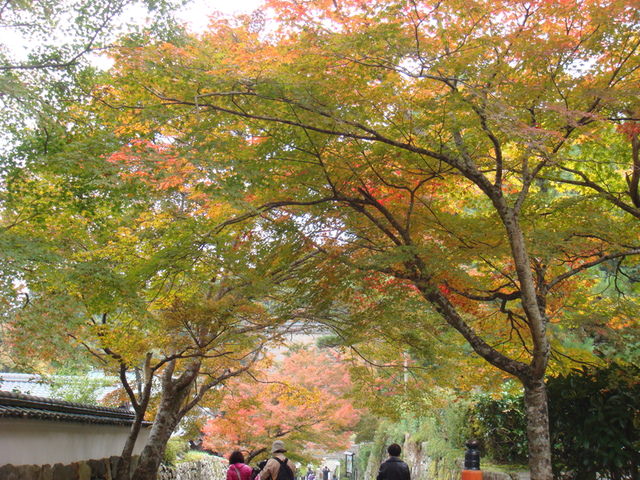 2010.11 日本關西賞楓行~嵐山渡月橋+清水寺+奈良公園 5日遊 - 第103張圖 2010.11 日本關西賞楓行~嵐山渡月橋+清水寺+奈良公園 5日遊