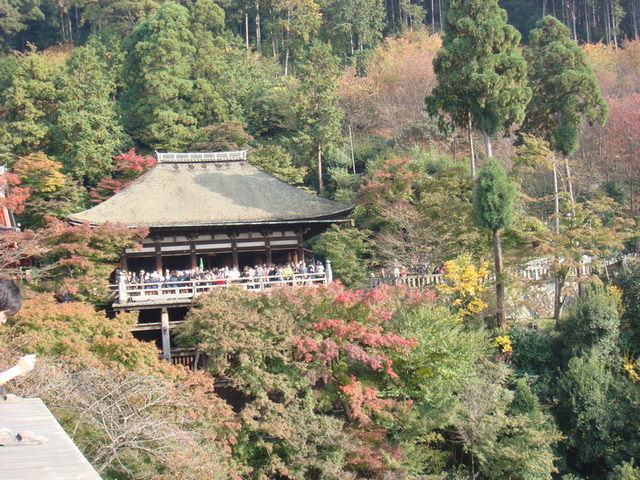 2010.11 日本關西賞楓行~嵐山渡月橋+清水寺+奈良公園 5日遊 - 第116張圖 2010.11 日本關西賞楓行~嵐山渡月橋+清水寺+奈良公園 5日遊