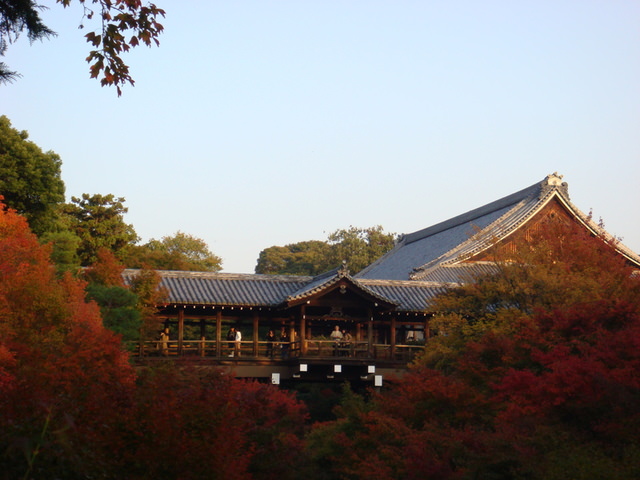 2010.11 日本關西賞楓行~嵐山渡月橋+清水寺+奈良公園 5日遊 - 第120張圖 2010.11 日本關西賞楓行~嵐山渡月橋+清水寺+奈良公園 5日遊