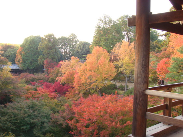 2010.11 日本關西賞楓行~嵐山渡月橋+清水寺+奈良公園 5日遊 - 第136張圖 2010.11 日本關西賞楓行~嵐山渡月橋+清水寺+奈良公園 5日遊