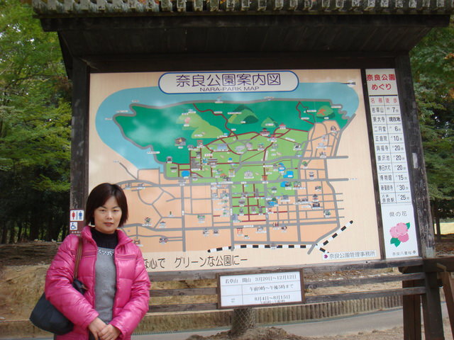 2010.11 日本關西賞楓行~嵐山渡月橋+清水寺+奈良公園 5日遊 - 第157張圖 2010.11 日本關西賞楓行~嵐山渡月橋+清水寺+奈良公園 5日遊