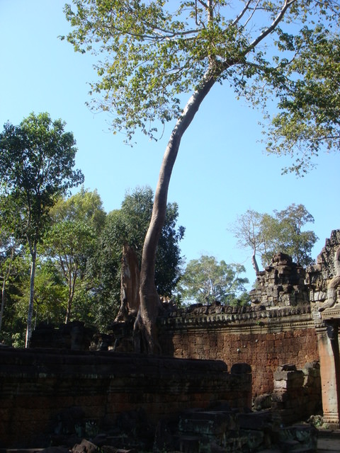 2007.12 吳哥窟之旅5日遊 - 第42張圖 2007.12 吳哥窟之旅5日遊