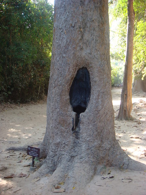 2007.12 吳哥窟之旅5日遊 - 第36張圖 2007.12 吳哥窟之旅5日遊