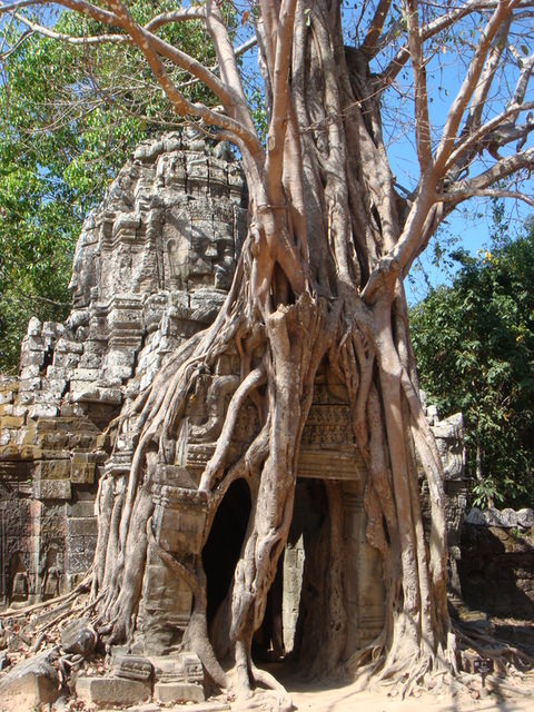 2007.12 吳哥窟之旅5日遊 - 第50張圖 2007.12 吳哥窟之旅5日遊