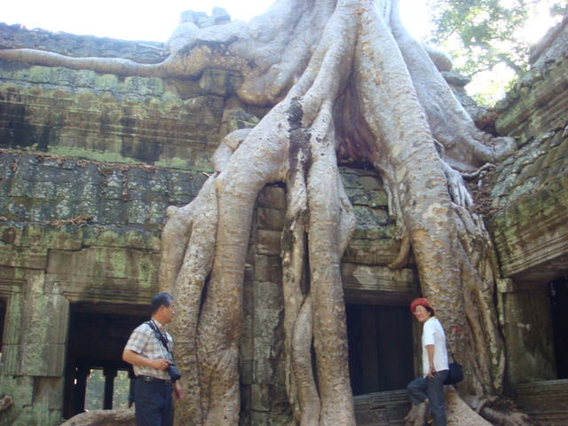 2007.12 吳哥窟之旅5日遊 - 第109張圖 2007.12 吳哥窟之旅5日遊