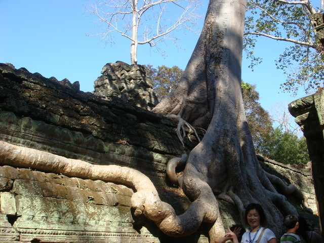 2007.12 吳哥窟之旅5日遊 - 第114張圖 2007.12 吳哥窟之旅5日遊