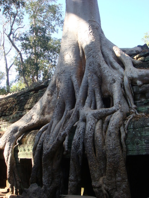 2007.12 吳哥窟之旅5日遊 - 第113張圖 2007.12 吳哥窟之旅5日遊