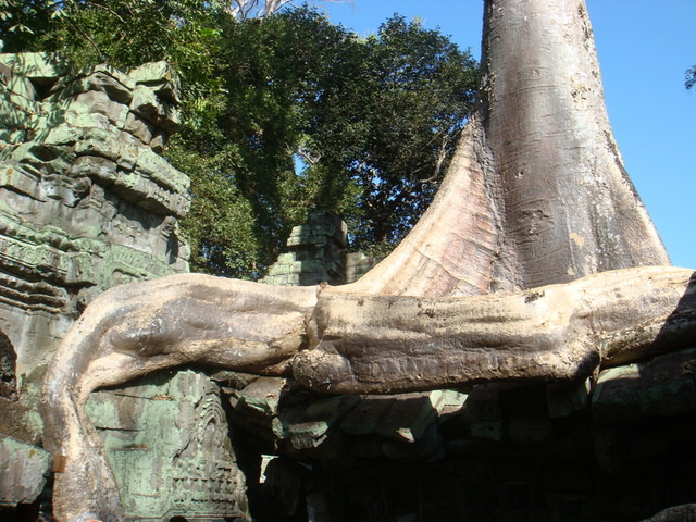 2007.12 吳哥窟之旅5日遊 - 第110張圖 2007.12 吳哥窟之旅5日遊