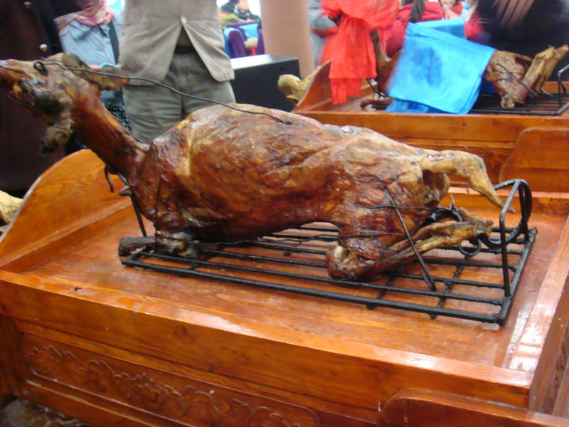 2015.10 內蒙古之旅五日遊 - 第49張圖 DSC06111.JPG - 2015.10 內蒙古之旅五日遊