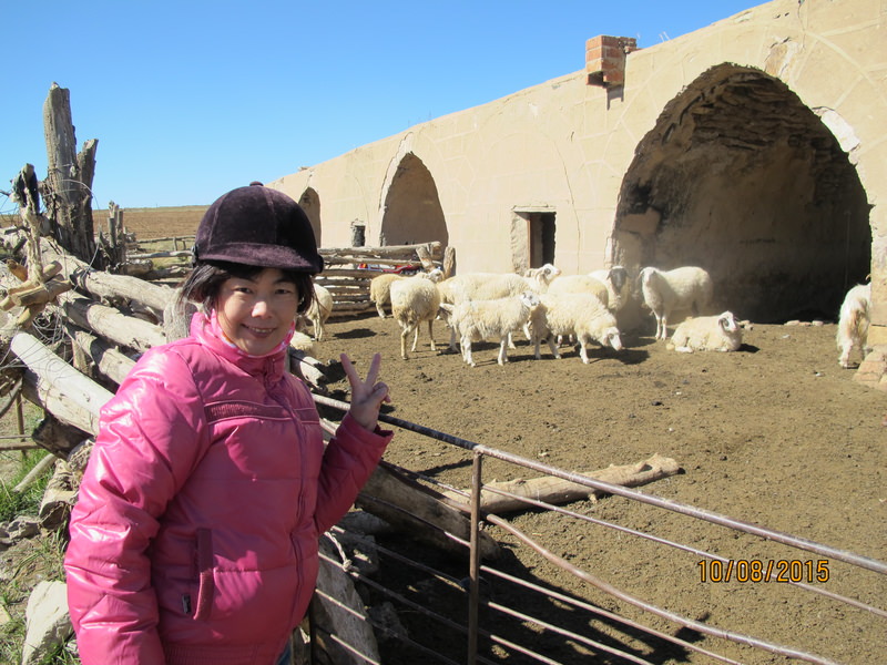 2015.10 內蒙古之旅五日遊 - 第40張圖 IMG_0114.JPG - 2015.10 內蒙古之旅五日遊