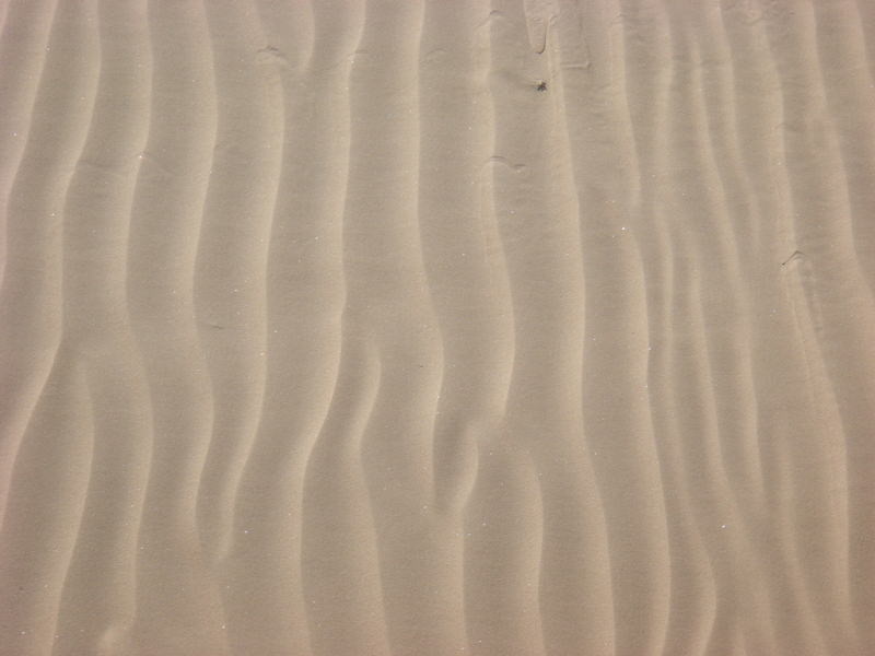 2015.10 內蒙古之旅五日遊 - 第73張圖 DSC06140.JPG - 2015.10 內蒙古之旅五日遊