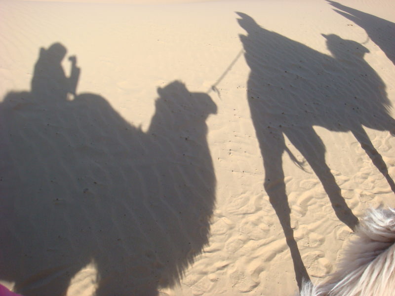 2015.10 內蒙古之旅五日遊 - 第100張圖 DSC06196.JPG - 2015.10 內蒙古之旅五日遊