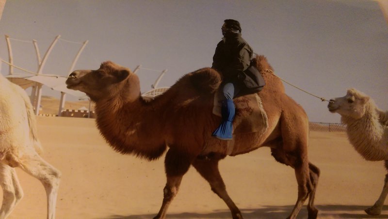 2015.10 內蒙古之旅五日遊 - 第99張圖 IMAG1707.jpg - 2015.10 內蒙古之旅五日遊