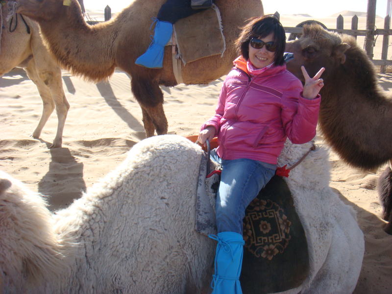 2015.10 內蒙古之旅五日遊 - 第97張圖 DSC06199.JPG - 2015.10 內蒙古之旅五日遊