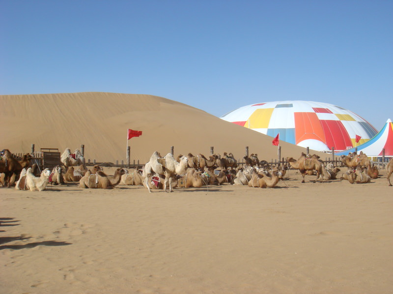 2015.10 內蒙古之旅五日遊 - 第104張圖 DSC06200.JPG - 2015.10 內蒙古之旅五日遊