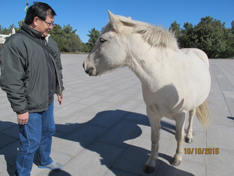 2015.10 內蒙古之旅五日遊 - 第122張圖 IMG_0340.JPG - 2015.10 內蒙古之旅五日遊