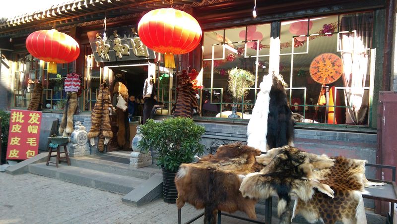 2015.10 內蒙古之旅五日遊 - 第155張圖 IMAG1855.jpg - 2015.10 內蒙古之旅五日遊