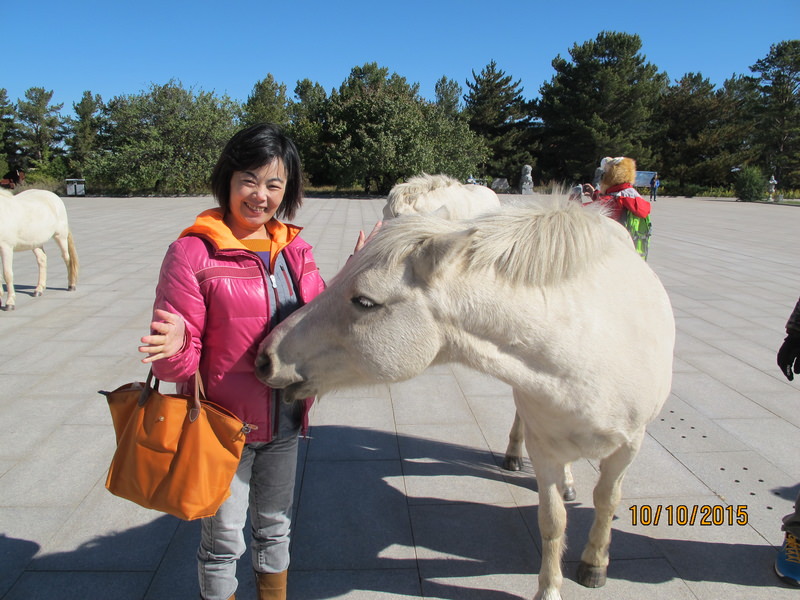 2015.10 內蒙古之旅五日遊 - 第121張圖 IMG_0338.JPG - 2015.10 內蒙古之旅五日遊