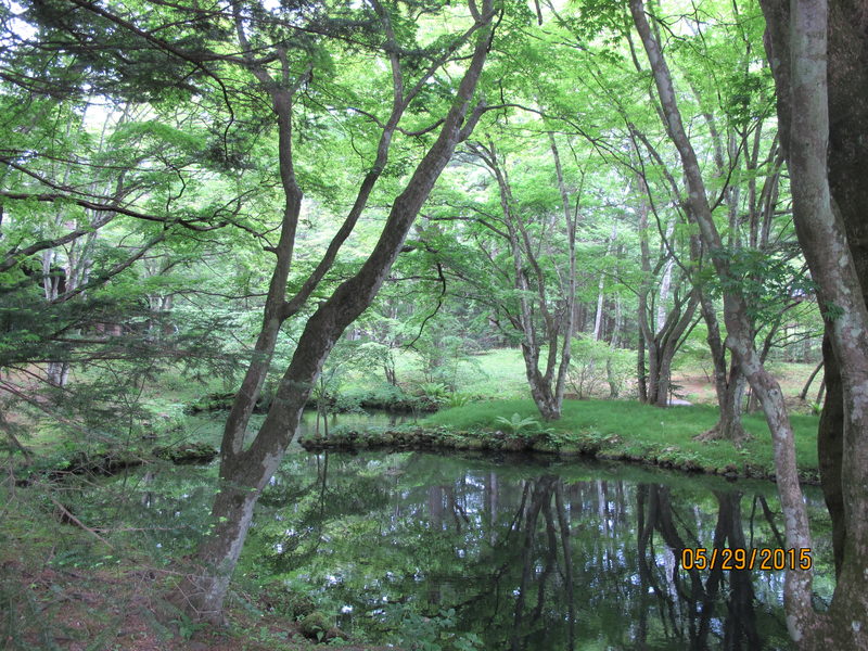 2015.05 日本東京、迪士尼、輕井澤5日小旅行 - 第23張圖 IMG_0810.JPG - 2015.05 日本東京、迪士尼、輕井澤5日小旅行