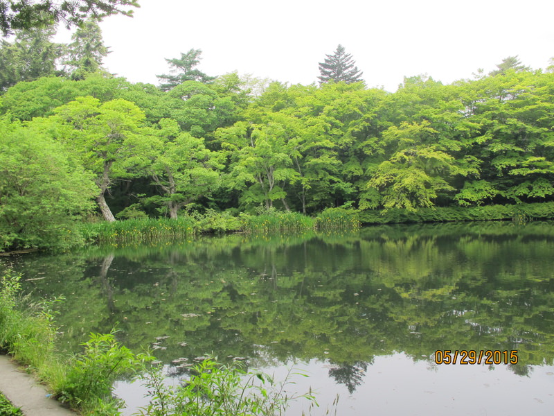 2015.05 日本東京、迪士尼、輕井澤5日小旅行 - 第22張圖 IMG_0808.JPG - 2015.05 日本東京、迪士尼、輕井澤5日小旅行