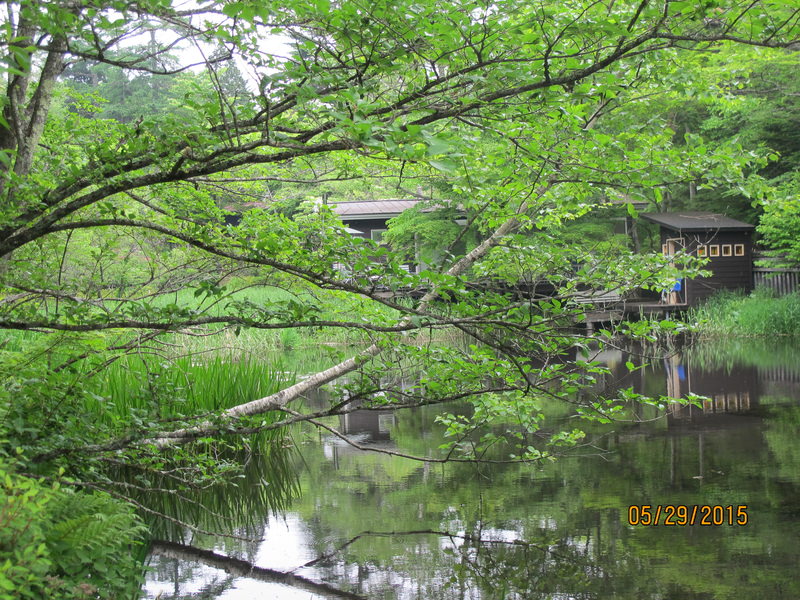 2015.05 日本東京、迪士尼、輕井澤5日小旅行 - 第26張圖 IMG_0818.JPG - 2015.05 日本東京、迪士尼、輕井澤5日小旅行