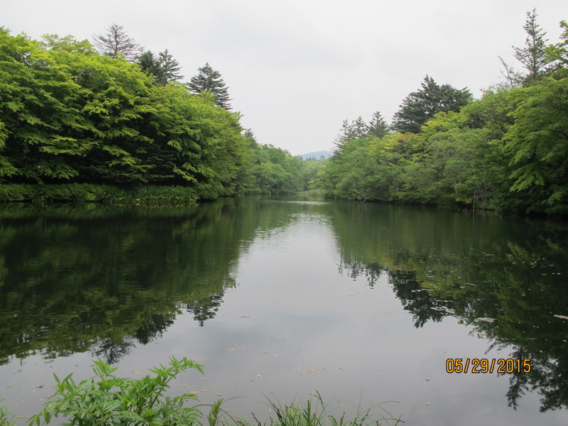 2015.05 日本東京、迪士尼、輕井澤5日小旅行 - 第21張圖 IMG_0802.JPG - 2015.05 日本東京、迪士尼、輕井澤5日小旅行