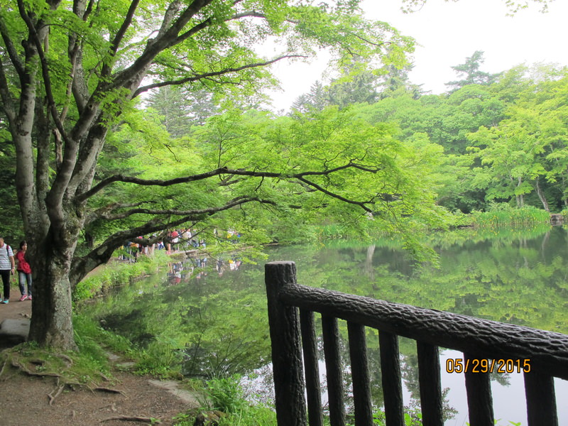 2015.05 日本東京、迪士尼、輕井澤5日小旅行 - 第24張圖 IMG_0812.JPG - 2015.05 日本東京、迪士尼、輕井澤5日小旅行