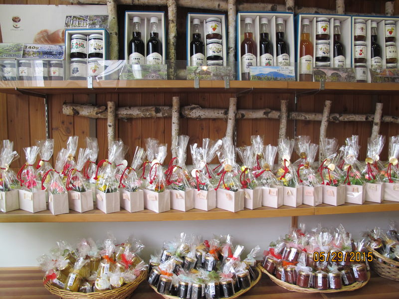 2015.05 日本東京、迪士尼、輕井澤5日小旅行 - 第33張圖 IMG_0834.JPG - 2015.05 日本東京、迪士尼、輕井澤5日小旅行